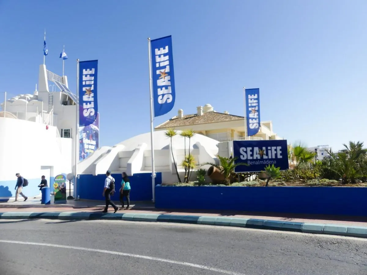 Apartment La Carihuela Torremolinos - Studio 3 - Costa Sol Holiday Rentals Spain